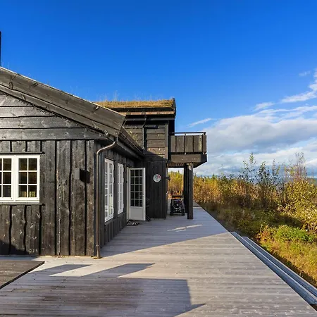 Mosetra2038 By Vacationtrysil *